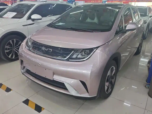 Фотография автомобиля — BYD Dolphin