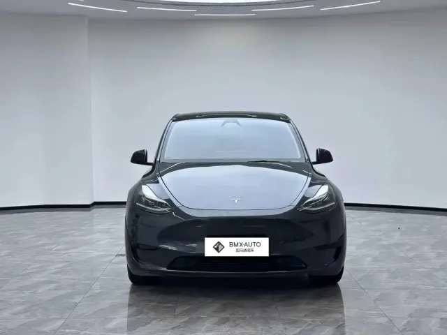 Tesla Model Y — Фото автомобиля 4