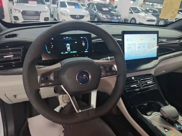 BYD Qin PLUS — Фото автомобиля 9