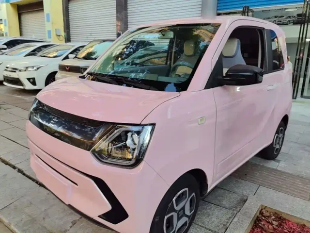 Фотография автомобиля — DFSK Mini EV