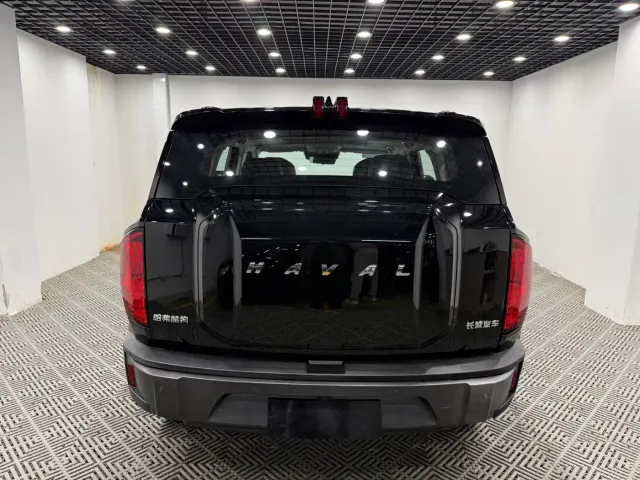Haval Cool Dog — Фото автомобиля 8