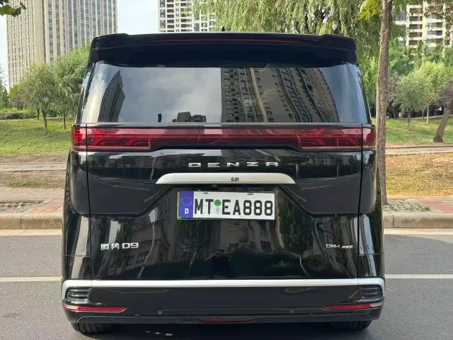 Denza D9 — Фото автомобиля 8