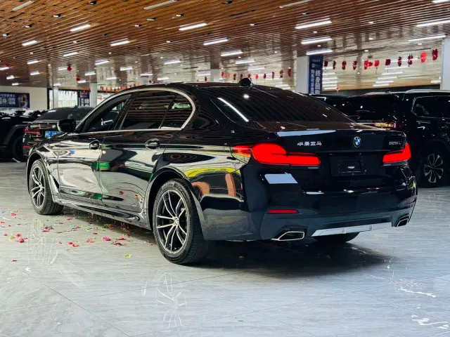 BMW 5 Series — Фото автомобиля 17