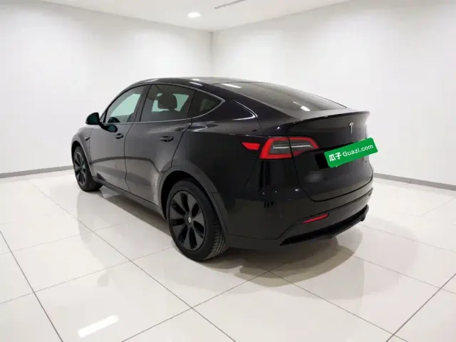 Tesla Model Y — Фото автомобиля 4