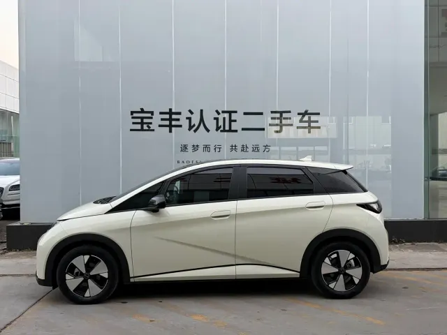 BYD Dolphin — Фото автомобиля 3