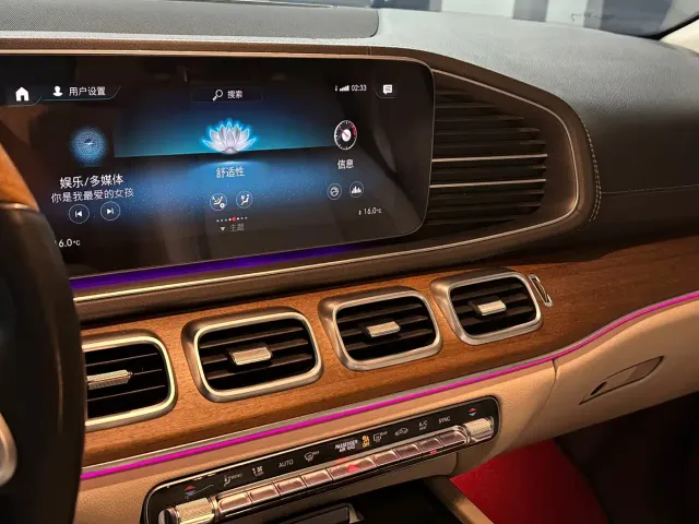 Mercedes-Benz GLS-Class — Фото автомобиля 12
