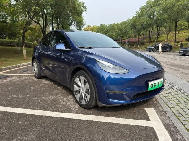 Tesla Model Y — Фото автомобиля 3