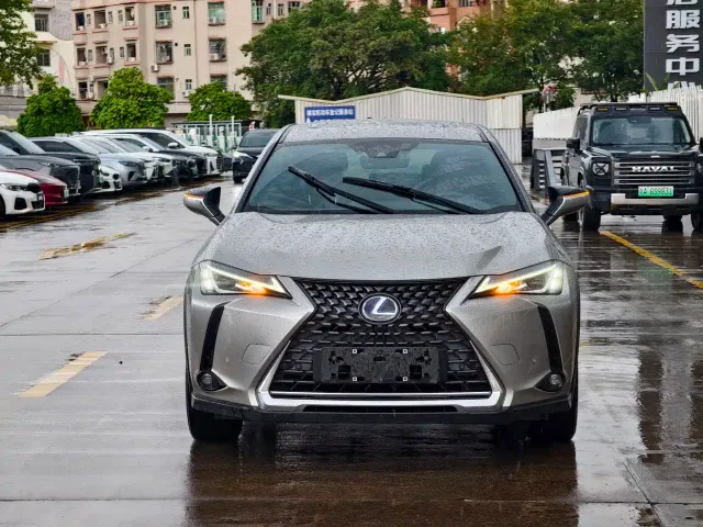 Lexus Lexus UX Electric 2020 300e Pure Enjoyment Edition — Фото автомобиля 2