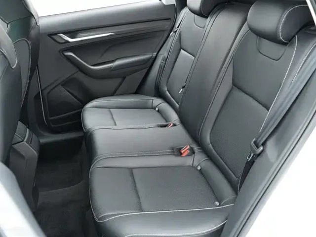 Skoda Kamiq — Фото автомобиля 21