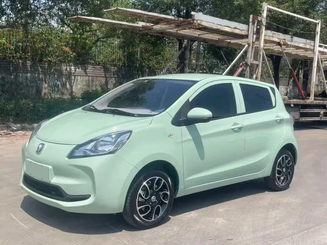 Фотография автомобиля — Changan Benben E-Star