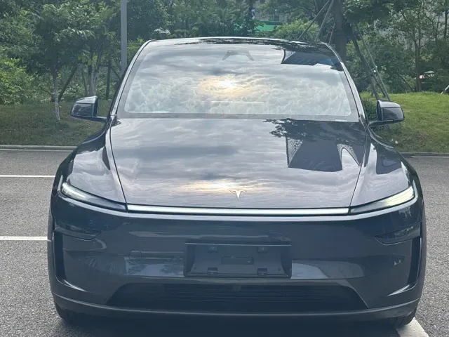 Tesla Model Y — Фото автомобиля 2