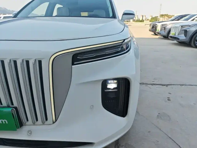 Hongqi E-HS9 — Фото автомобиля 23