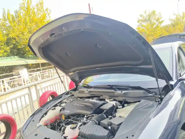Buick Electra L7 — Фото автомобиля 9