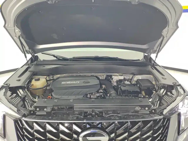 GAC Trumpchi GS8 — Фото автомобиля 10