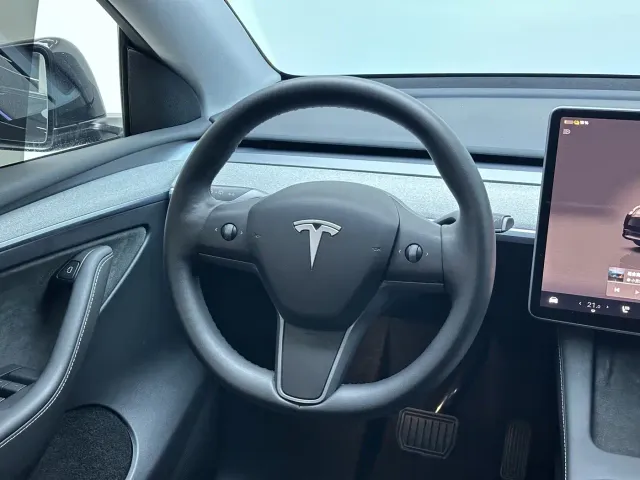Tesla Model Y — Фото автомобиля 19