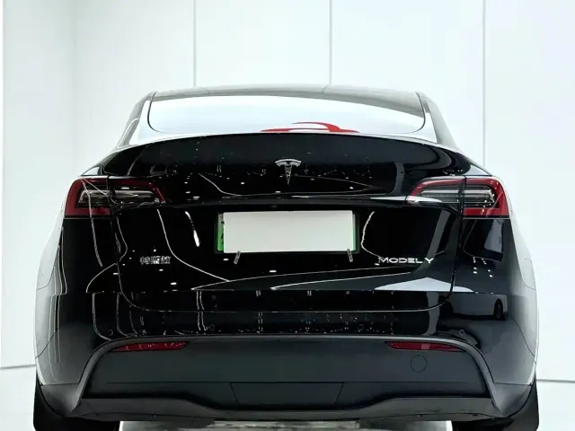 Tesla Model Y — Фото автомобиля 3