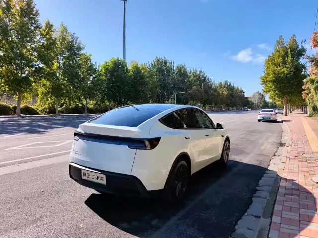 Tesla Model Y — Фото автомобиля 4