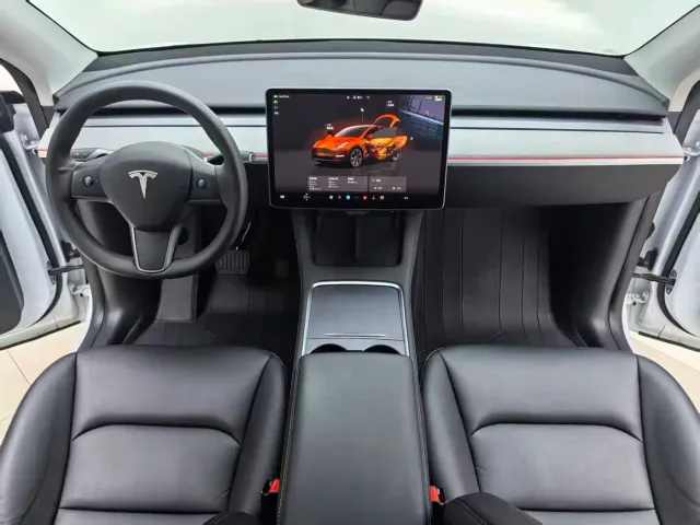 Tesla Model Y — Фото автомобиля 10