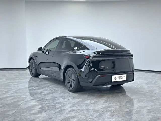 Tesla Model Y — Фото автомобиля 2