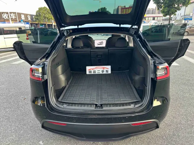 Tesla Model Y — Фото автомобиля 11