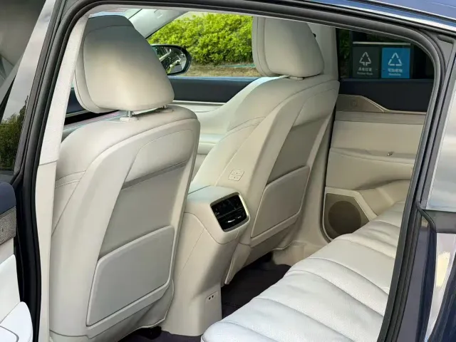 Buick Electra L7 — Фото автомобиля 5