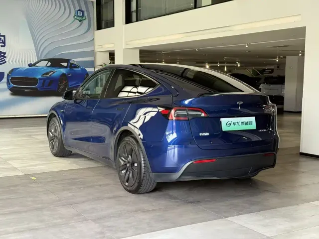 Tesla Model Y — Фото автомобиля 9