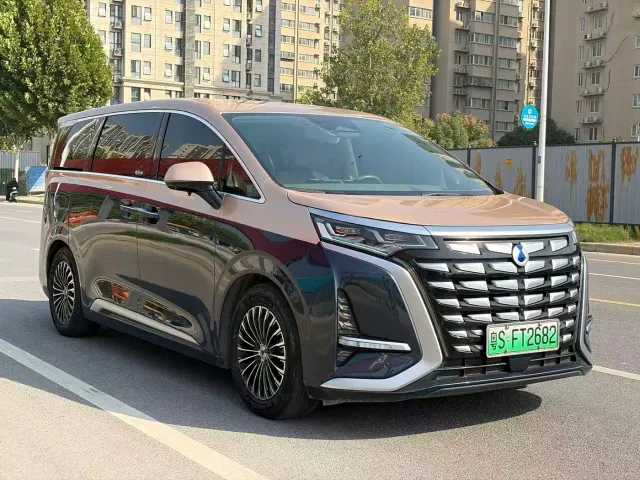 Denza D9 — Фото автомобиля 2