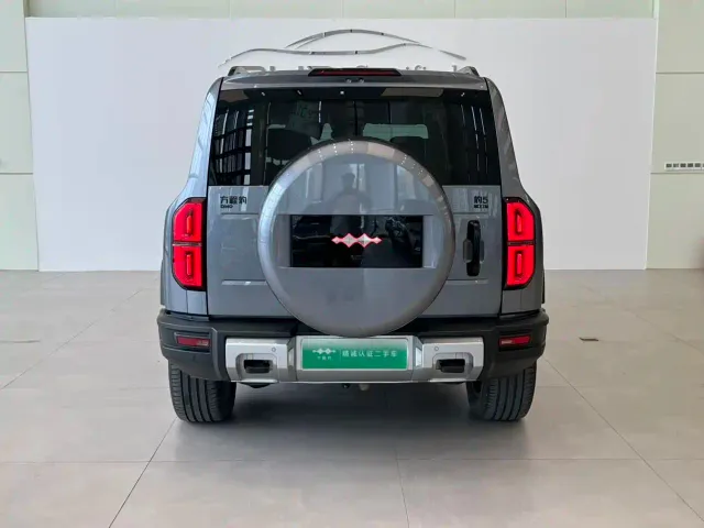 BYD FangChengBao Leopard 5 — Фото автомобиля 4