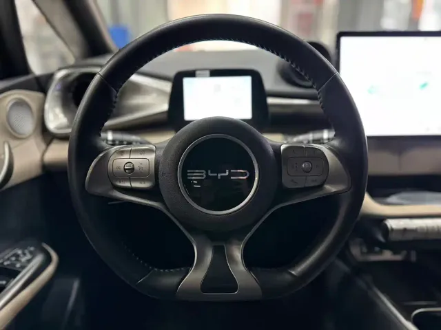 BYD Dolphin — Фото автомобиля 13