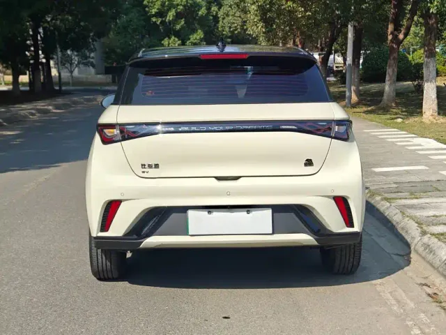 BYD Dolphin — Фото автомобиля 6