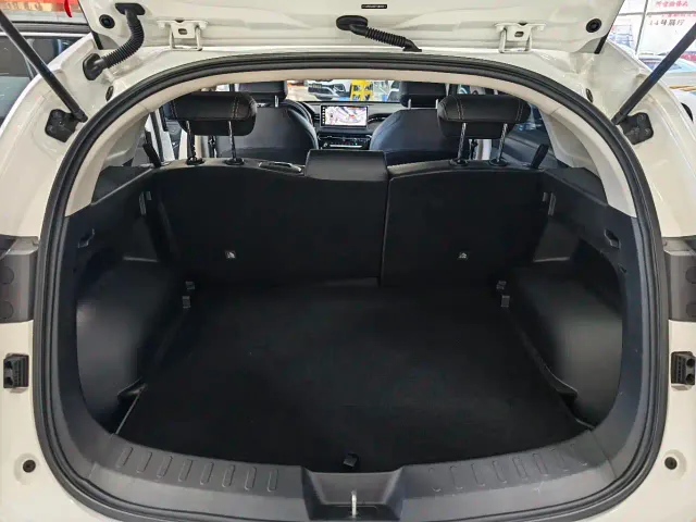 Haval Chitu — Фото автомобиля 9