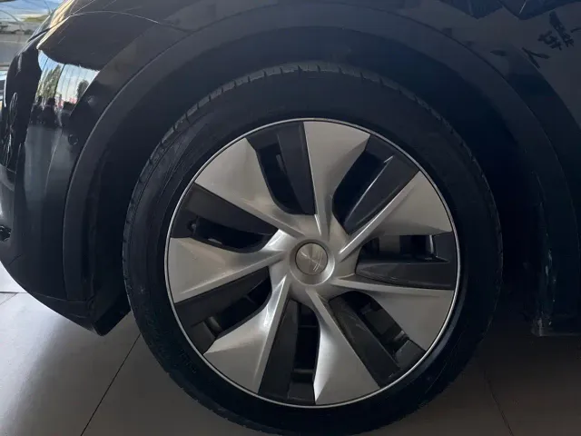 Tesla Model Y 2021 Standard Range Rear-Wheel Drive — Фото автомобиля 3