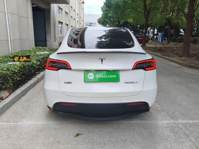 Tesla Model Y 2021 Performance High-Performance AWD — Фото автомобиля 5