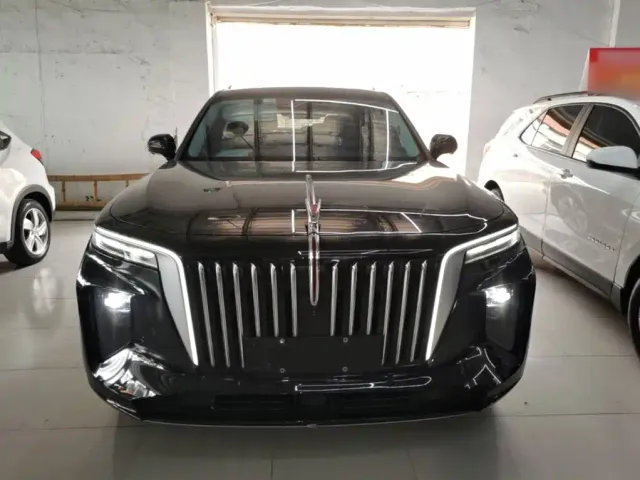 Hongqi E-HS9 — Фото автомобиля 2