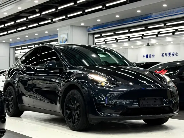 Tesla Model Y — Фото автомобиля 3