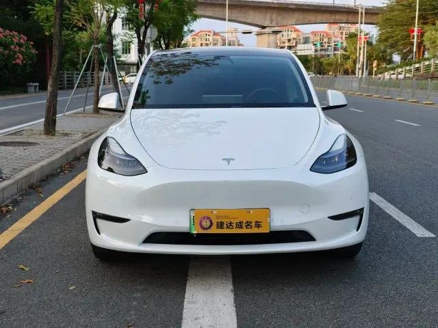 Tesla Model Y — Фото автомобиля 3