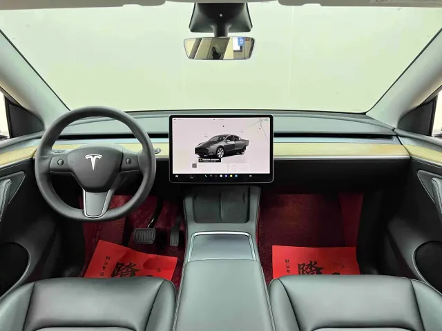 Tesla Model Y — Фото автомобиля 21