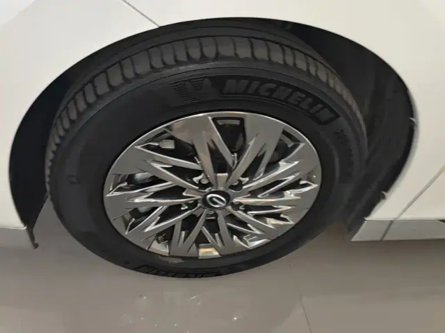 GAC Trumpchi Xiangwang M8 — Фото автомобиля 22