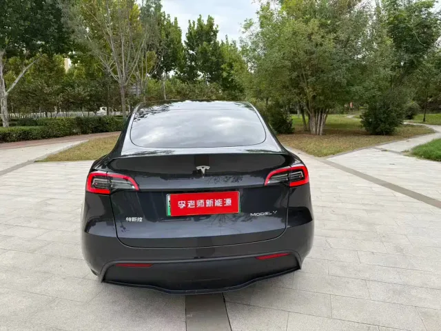Tesla Model Y — Фото автомобиля 7
