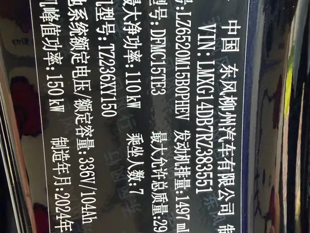 Forthing Xinghai V9 — Фото автомобиля 28