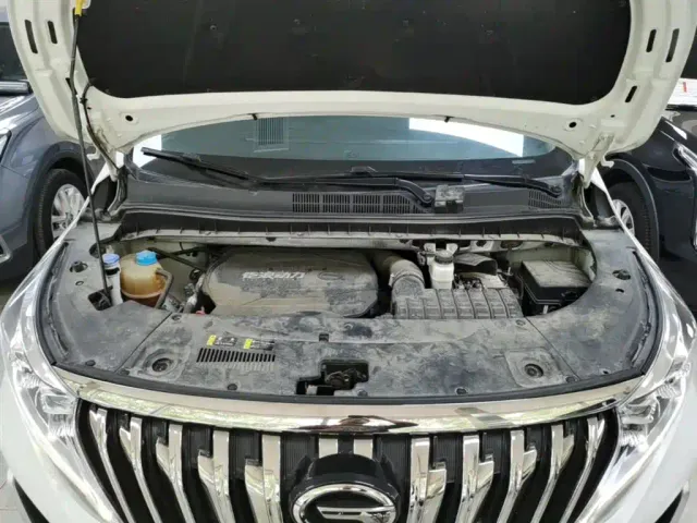 GAC Trumpchi M8 — Фото автомобиля 19