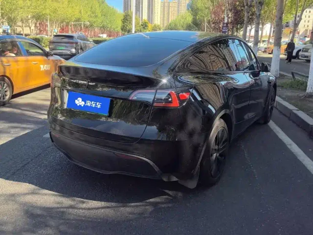 Tesla Model Y — Фото автомобиля 3