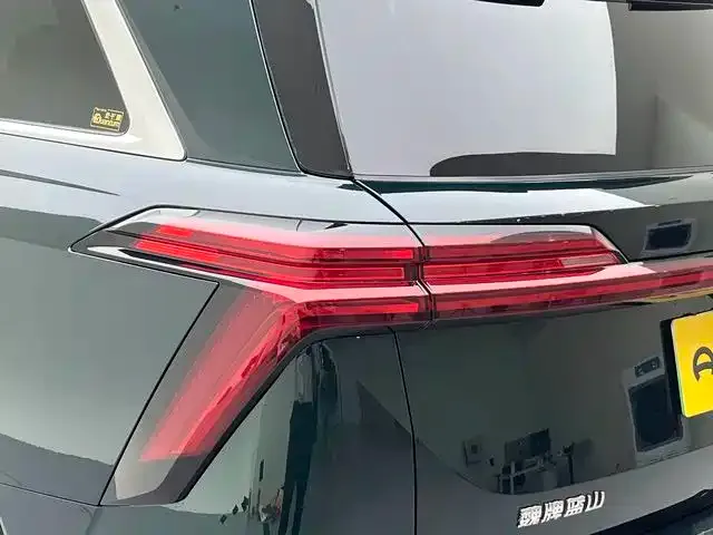 Wey Lanshan — Фото автомобиля 28