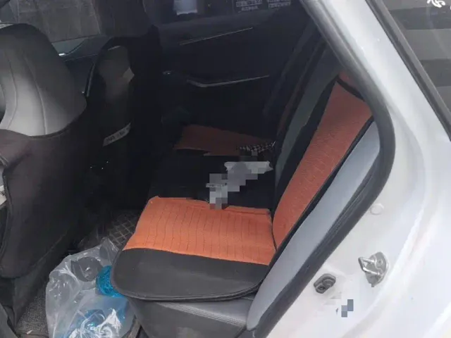 Changan Raeton Plus — Фото автомобиля 13