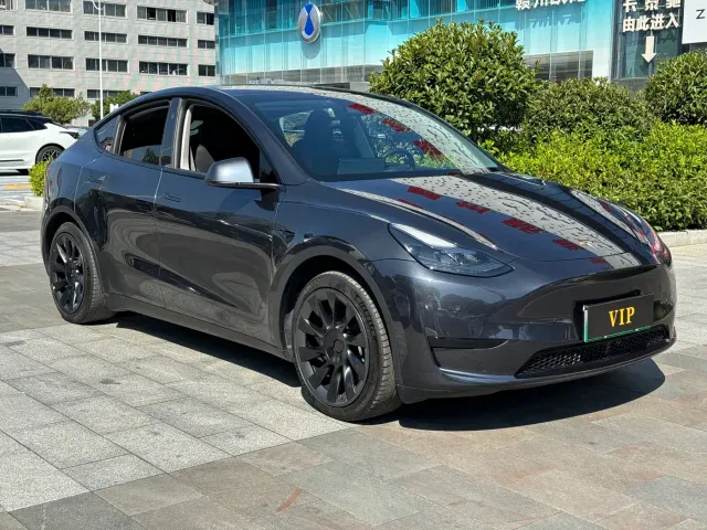 Tesla Model Y — Фото автомобиля 3