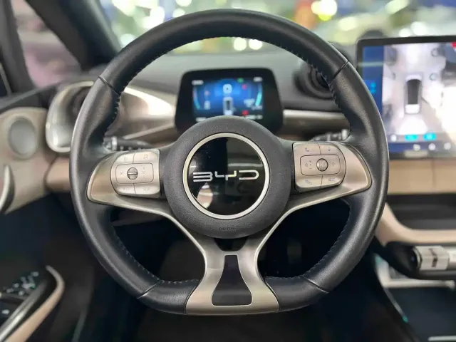 BYD Dolphin — Фото автомобиля 13