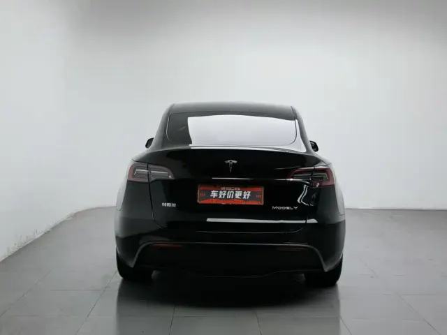 Tesla Model Y — Фото автомобиля 4