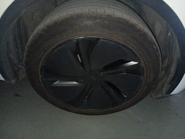 Tesla Model Y — Фото автомобиля 25