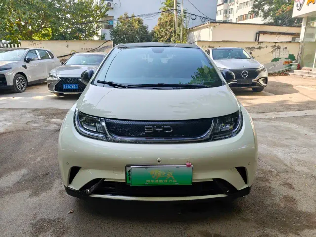 Фотография автомобиля — BYD Dolphin