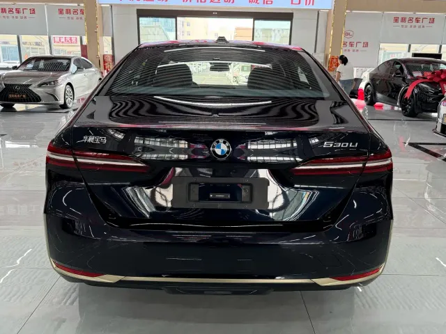 BMW 5 Series — Фото автомобиля 5